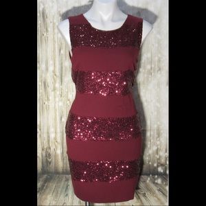 🦄 Janet Paris Maroon Sequin Stripe Bodycon Dress
